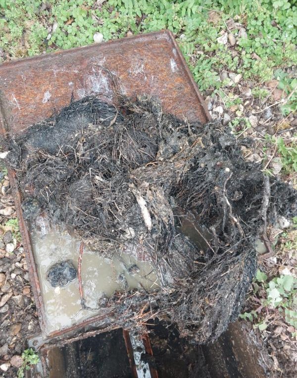 Root of all Evil removed in Whitstable
