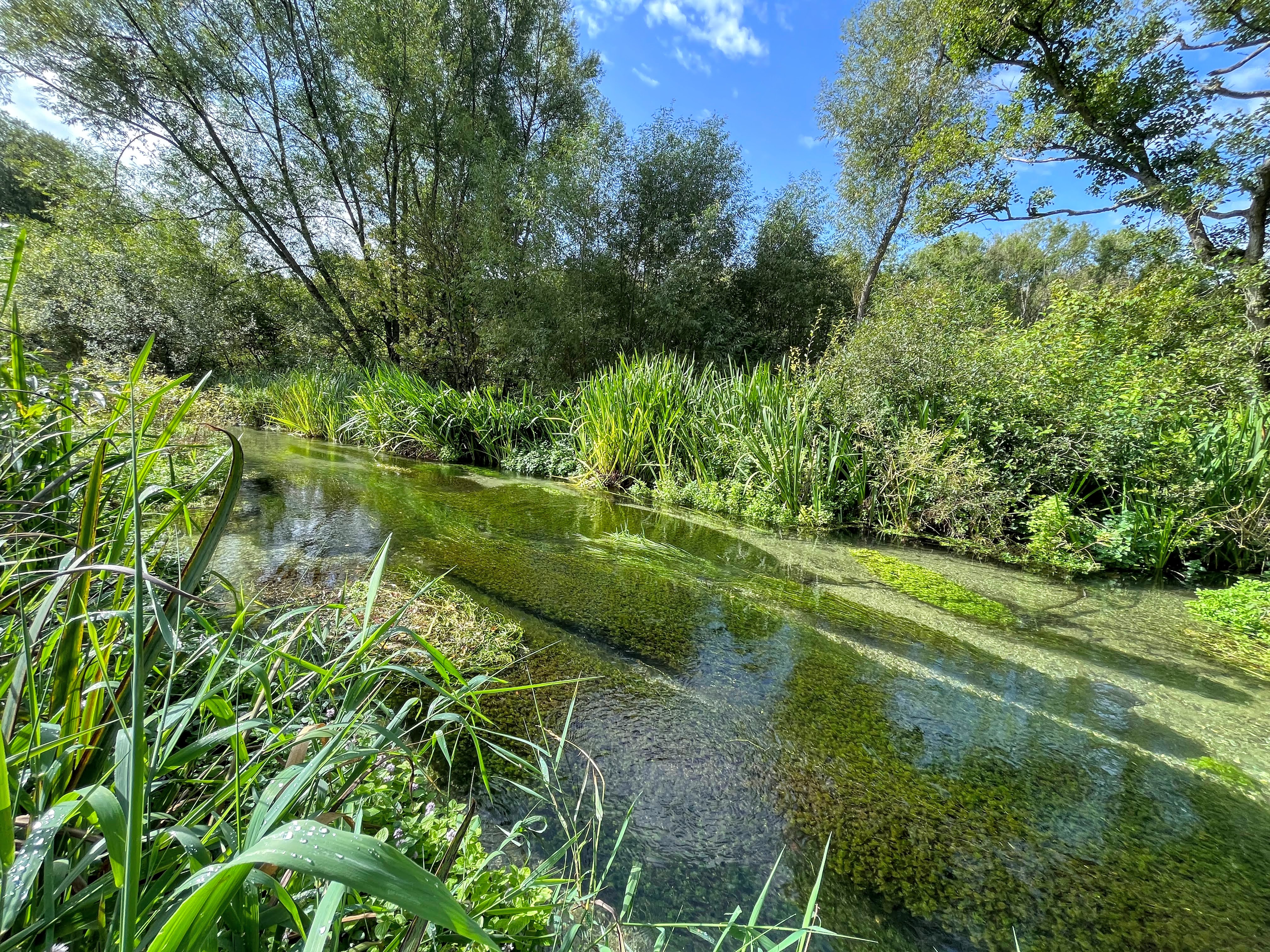 Teamwork secures milestone in Hampshire river restoration