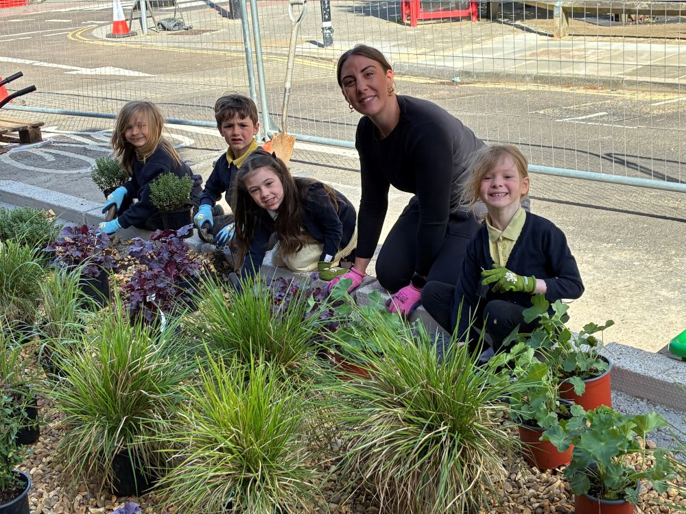 Rain gardens help slow surface water and support nature in Portsmouth